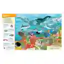 Libro De Búsqueda Y Encuentra Animales En Todas Partes Niños