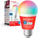 Combo Asistente Virtual Alexa Echo Pop + Bombillo Inteligente Led