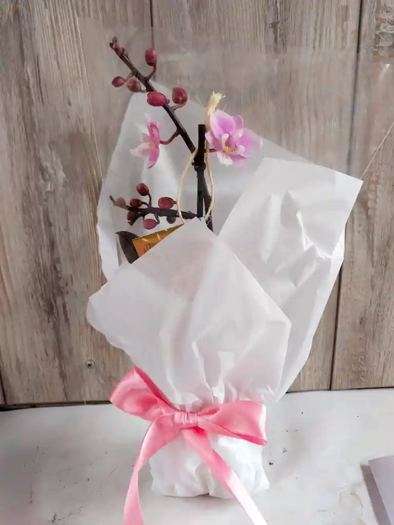 Flores - Miniorquidea En Matera De Ceramica - Detalle Con Amor Para Regalo En Fecha Especial, Amor Y Amistad, Cumpleaños, Aniversarios, Condolencias, Graduación, Felicitación Y Agradecimiento.