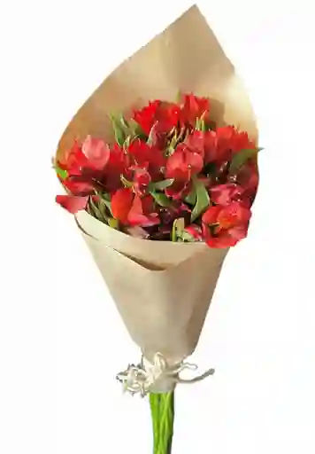 Flores De Astromelias Rojas En Bouquet