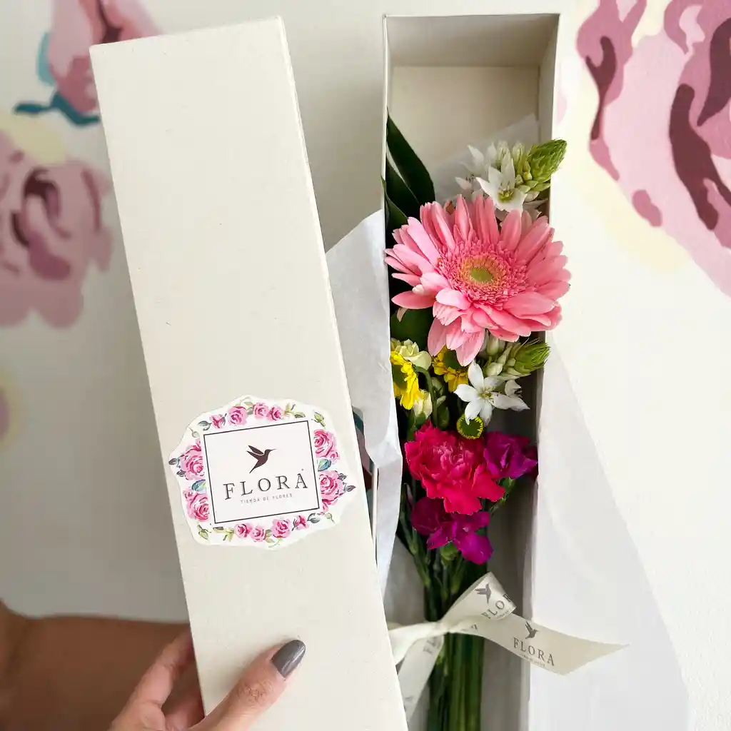 Flora Box Soliario Gerbera