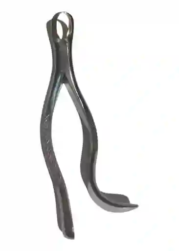 Forceps Odontologico # 16