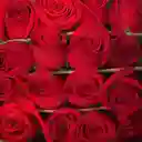 Bouquet De 12 Rosas Rojas - Calidad De Exportación