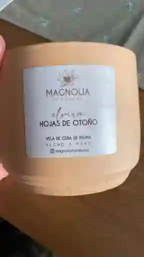 Velagrande Cerámica En Cera De Palma · Hojas De Otoño