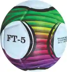 Balón De Futbol Profesional Ninya