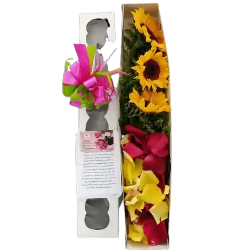 Caja De Girasoles