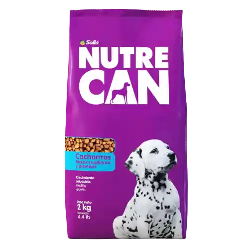 Nutrecan Cachorros Rm Y Rg X 16 Kg