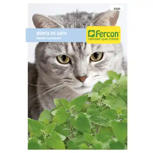 Semilla Menta Para Gatos