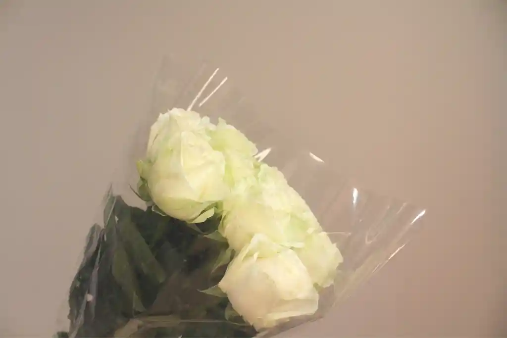 White Roses