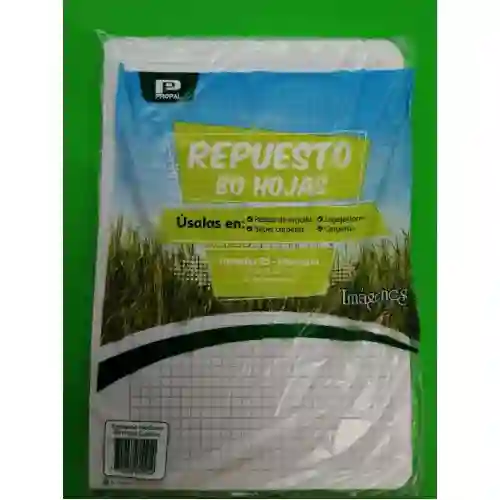 Hojas Repuesto 95x80 Cuadriculadas Económica