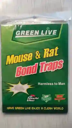 Trampa Pegante Mouse Y Rat