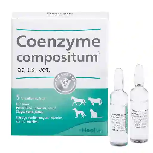 Coenzyme X 1 Ampolla X 5 Ml