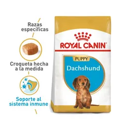 Royal Canin Breed Health Nutrition Dachshund Puppy 1,13kg