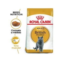 Royal Canin Feline Breed Nutrition Dry British Shorthair 2kg