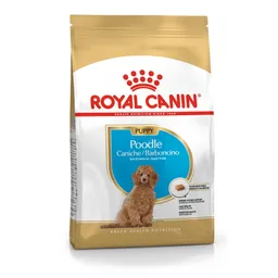 Royal Canin Alimento Para Perro Cachorro Poodle 3 Kg