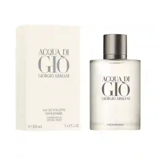 Perfume Acqua Di Gio Armani 100 Ml ® La Riviera