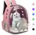 Maleta Morral De Viaje Para Mascotas Perro O Gato