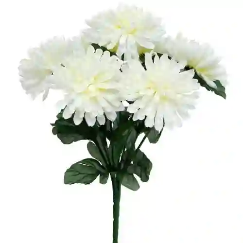 Crisantemo Blanco X 10 Tallos El Paquete