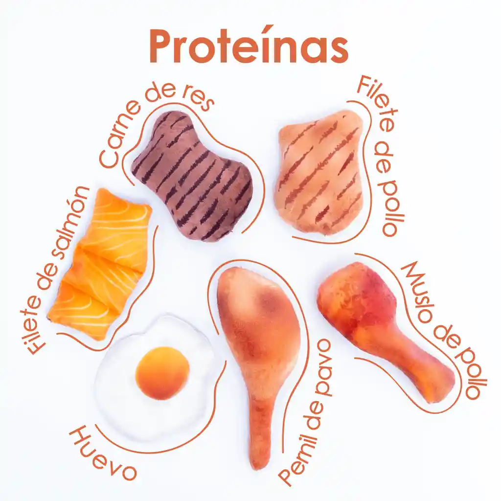 Kit De Proteinas 19 Piezas