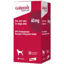 Galliprant 60mg Frasco X 30 Tab