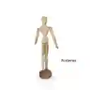 Muñeco Articulado ( M ) Maniquí En Madera 12 X 8.5 X 30 Cm
