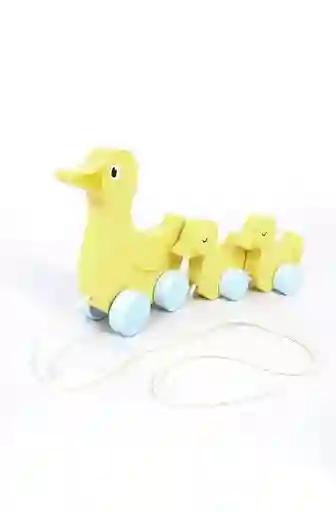 Familia De Patos