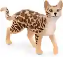 Figura De Animales Gato De Bengala Colección Niños Y Niñas