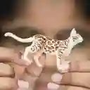 Figura De Animales Gato De Bengala Colección Niños Y Niñas