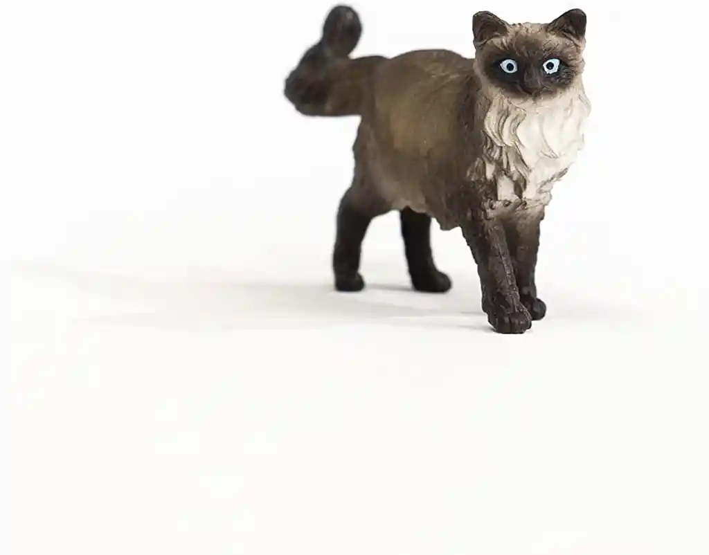 Figura De Animales Gato Ragdoll Colección Para Niños Y Niñas