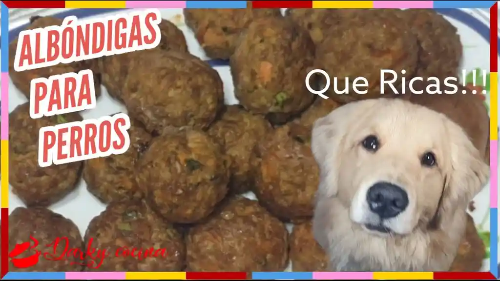 Albóndigas De Carne Perros X Unidad Marca Paster Gourmet