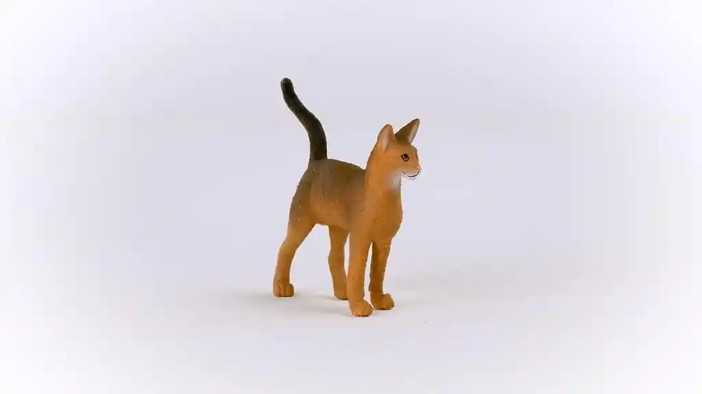 Figura De Animales Gato Abisinio Colección Niños Y Niña