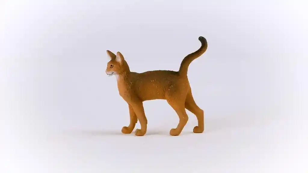 Figura De Animales Gato Abisinio Colección Niños Y Niña