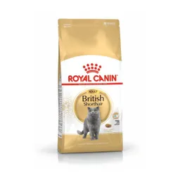 Royal Canin Gato British 2 Kg