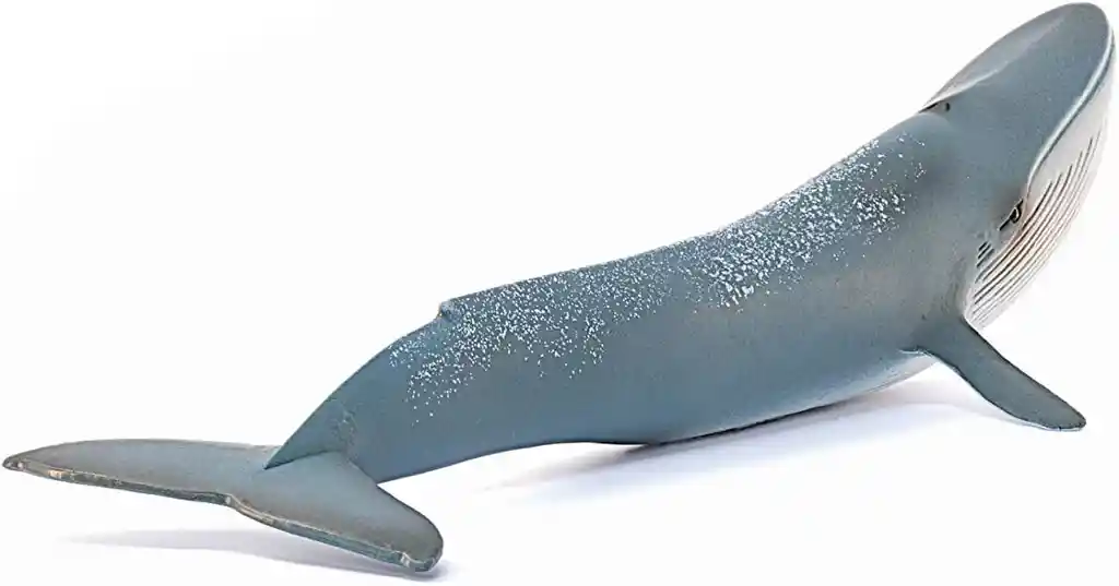 Figura De Animales Ballena Azul Coleccionable Pintado A Mano