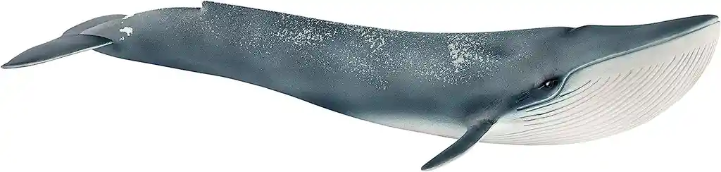 Figura De Animales Ballena Azul Coleccionable Pintado A Mano