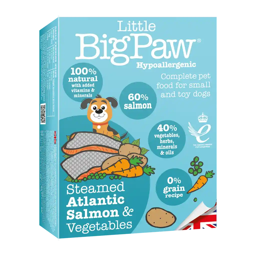 Big Paw Atlantic Salmon & Veg 150 Gr