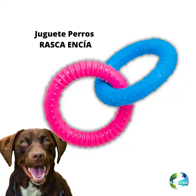 Juguete Para Mascota C140 Isp