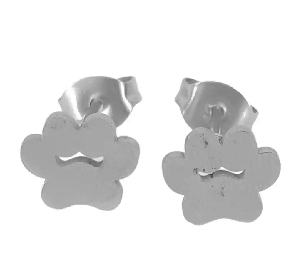 Juego De Arete Y Collar En Acero Diseño Huella De Perro