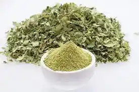 Moringa Hoja