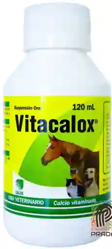 Vitacalox Oral X 120ml