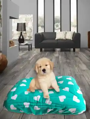 Cama Acolchada Para Mascotas Impermeable Grande + Funda En Tela Polar