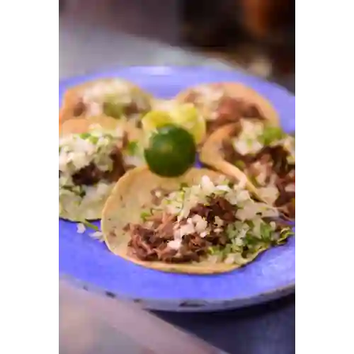 Tacos Carnita X 5