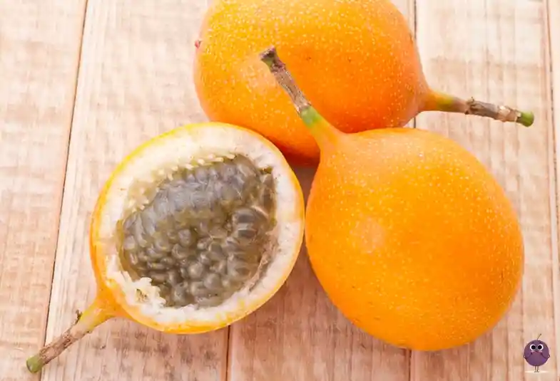 Granadilla