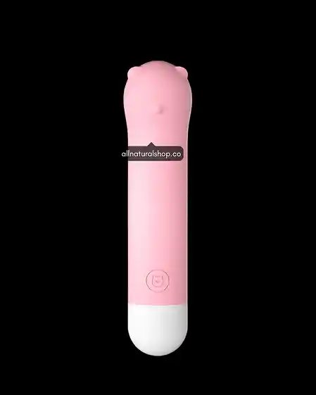 Vibrador Bala Oso Recargable Estimulador De Vagina, Clítoris O Ano Lilo