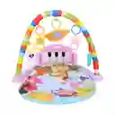 Gimnasio Bebe Musical Tapete Piano Con Luces Unisex Oferta Didáctico Ref. Miquito Rosado