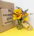 Caja De Regalo Girasoles Y Ferrero X8