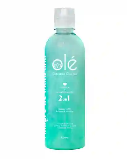 Shampoo 2 En 1 Dual Olé Capilar