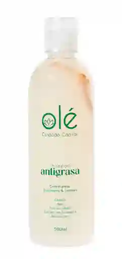 Shampoo Antigrasa De Cebolla Y Jengibre