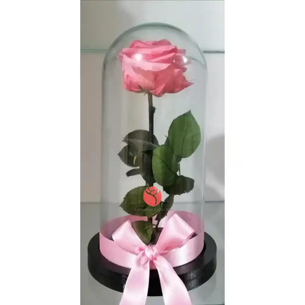 Rosa Inmortalizada