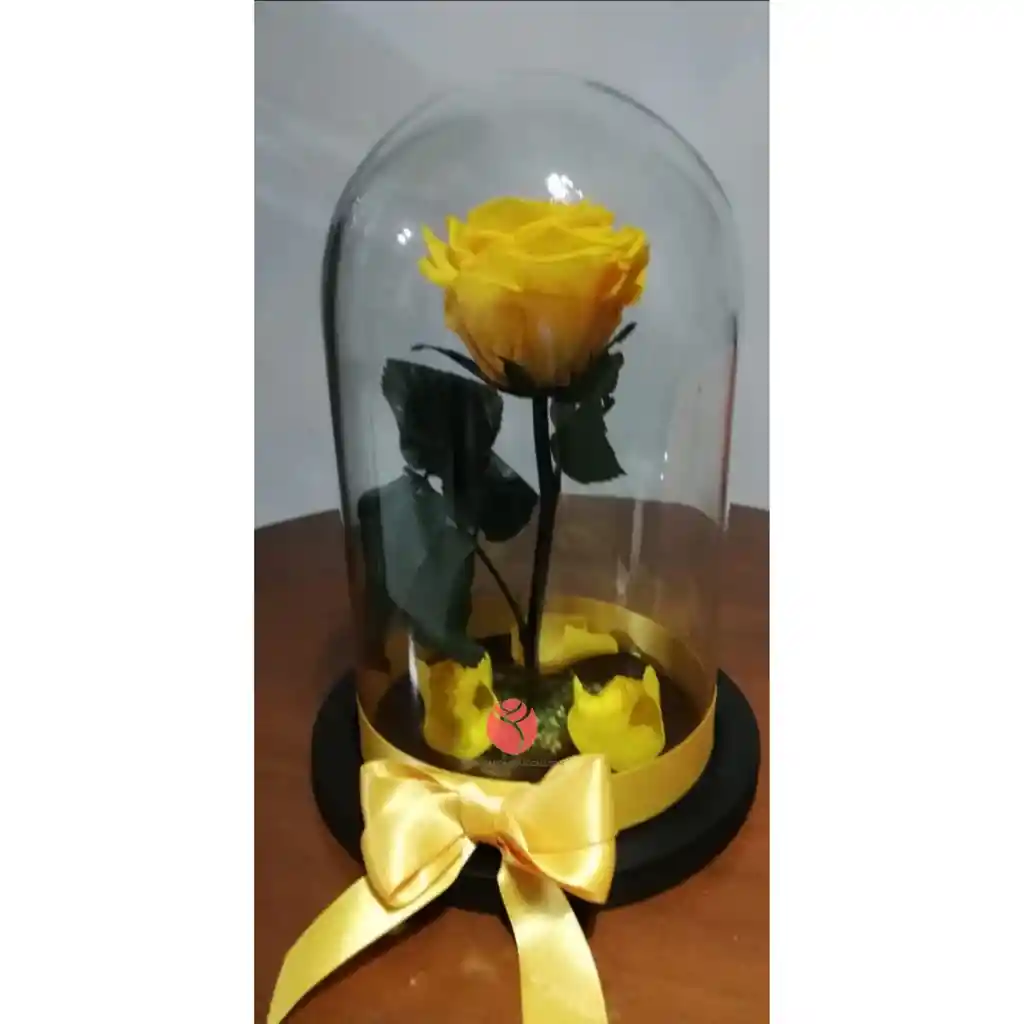 Rosa Inmortalizada